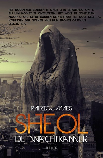 Sheol, de wachtkamer, Patrick Maes - Ebook - 9789493111332