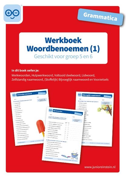 Grammatica Woordbenoemen (1) Geschikt voor groep 5 en 6 Werkboek, niet bekend - Paperback - 9789493128132