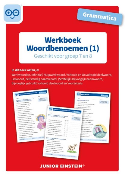 Grammatica Woordbenoemen 1 Geschikt voor groep 7 en 8 Werkboek, niet bekend - Paperback - 9789493128163