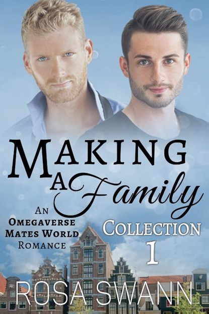 Making a Family Collection 1, Rosa Swann - Paperback - 9789493139596
