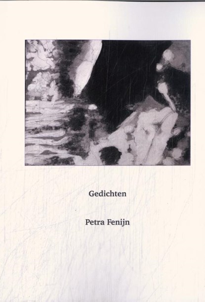 Gedichten, Petra Fenijn - Paperback - 9789493155282