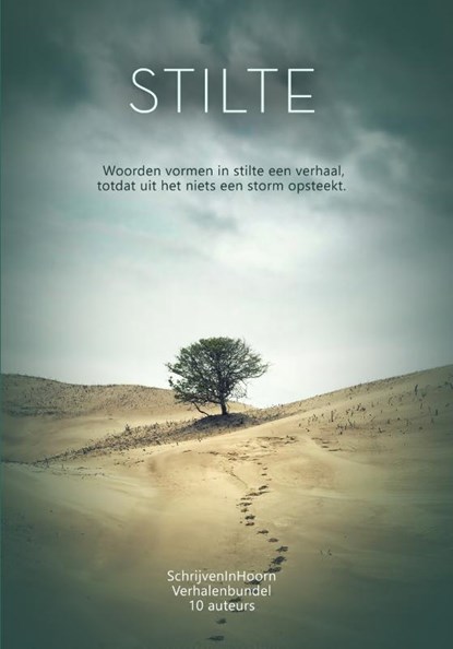 Stilte versus storm, Lieve van den Berg ; Lucy Neetens ; Ilona Poot ; Esmeralda van Belle - Paperback - 9789493157057
