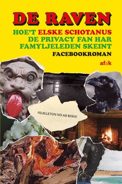 De raven, Elske Schotanus - Paperback - 9789493159341