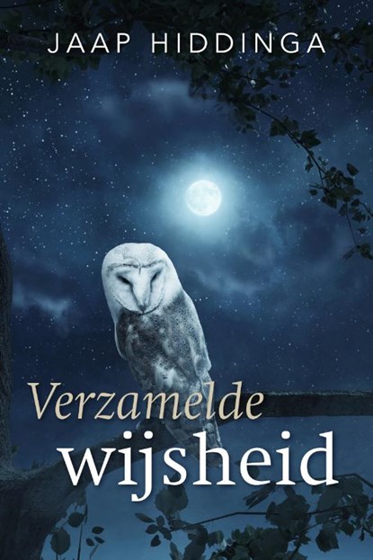 Verzamelde wijsheid, Jaap Hiddinga - Paperback - 9789493160286