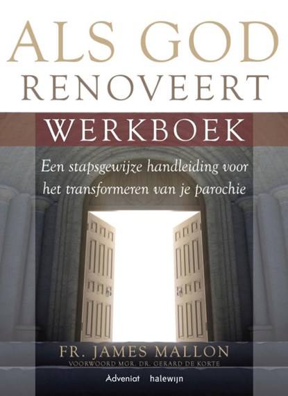 Als God renoveert, James Mallon - Paperback - 9789493161191