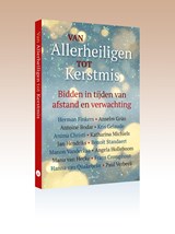 Van Allerheiligen tot Kerstmis - Herman Finkers - 9789493161399