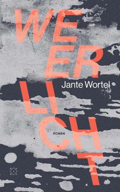 Weerlicht, Jante Wortel - Paperback - 9789493168848