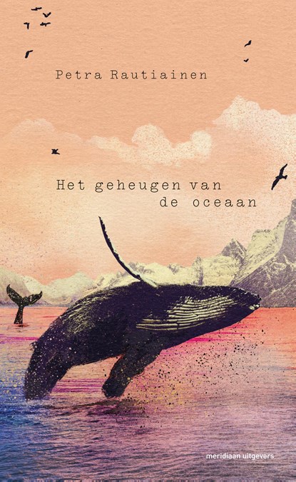 De geheugen van de zee, Petra Rautiainen - Ebook - 9789493169968