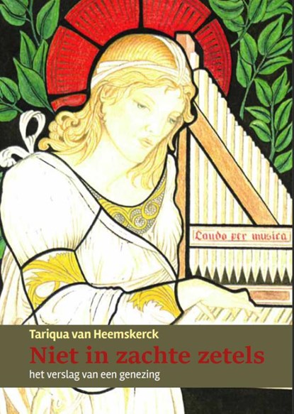 Niet in zachte zetels, Tariqua van Heemskerck - Paperback - 9789493175136