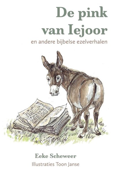 De pink van Iejoor, Eeke Scheweer - Gebonden - 9789493175211