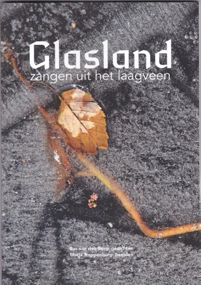 Glasland, Bas van den Berg - Paperback - 9789493175730