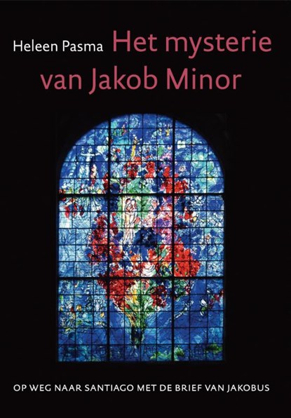 Het mysterie van Jacob Minor, Heleen Pasma - Paperback - 9789493175891