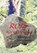 Rots, Koen D'haene - Gebonden - 9789493192171