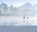 Verstilling, Bas Meelker - Gebonden - 9789493198180