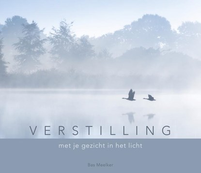 Verstilling, Bas Meelker - Gebonden - 9789493198180