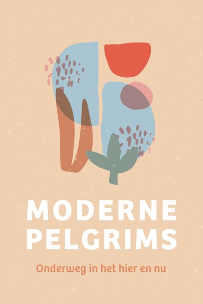 Moderne pelgrims, niet bekend - Ebook - 9789493198241