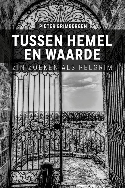 Tussen hemel en waarde, Pieter Grimbergen - Ebook - 9789493198913