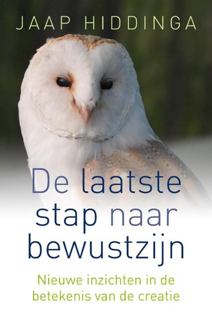 Laatste stap naar bewustzijn, Jaap Hiddinga - Paperback - 9789493201286