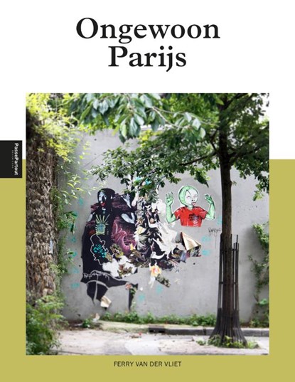 Ongewoon Parijs, Ferry van der Vliet - Paperback - 9789493201972