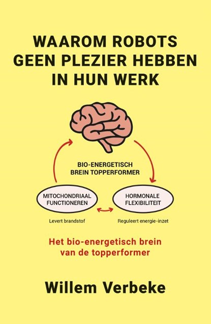Waarom robots geen plezier hebben in hun werk, Willem Verbeke - Paperback - 9789493202566
