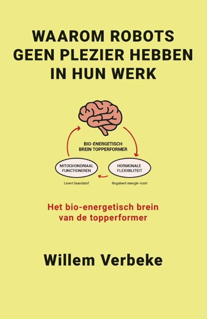 Waarom robots geen plezier hebben in hun werk, Willem Verbeke - Paperback - 9789493202566