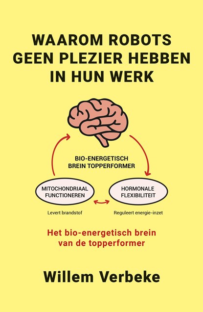 Waarom robots geen plezier hebben in hun werk, Willem Verbeke - Ebook - 9789493202573