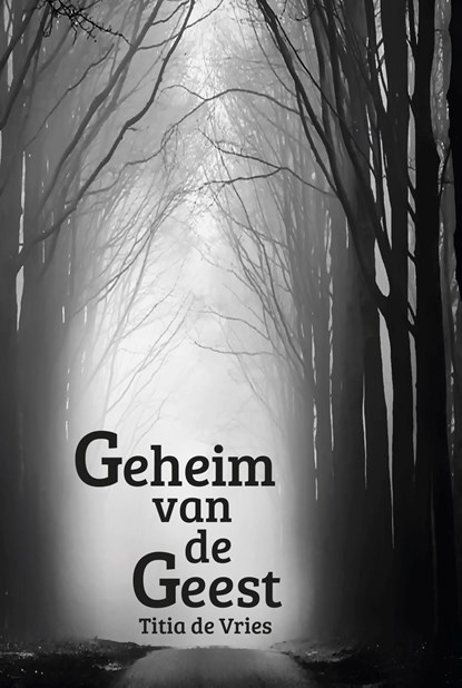 Geheim van de Geest, Titia de Vries - Ebook - 9789493210141