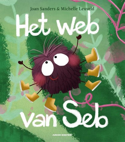 Het web van Seb, Joan Sanders - Gebonden - 9789493218543