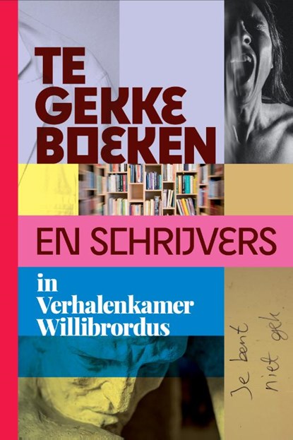 Te gekke boeken en schrijvers in Verhalenkamer Willibrordus, Marijn van Hoorn - Gebonden - 9789493219991