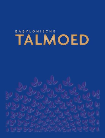 Babylonische Talmoed Sanhedrien 3/4/5/6, Jacob de Leeuwe - Gebonden - 9789493220225