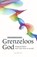 Grenzeloos God, Tilmann Haberer - Paperback - 9789493220423