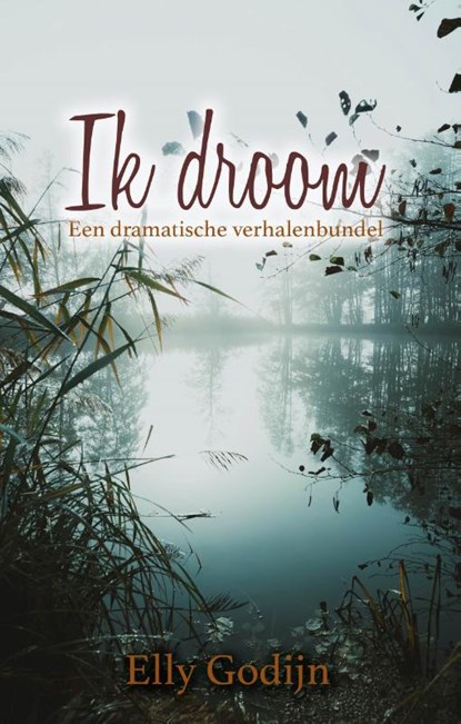Ik droom, Elly Godijn - Paperback - 9789493233508