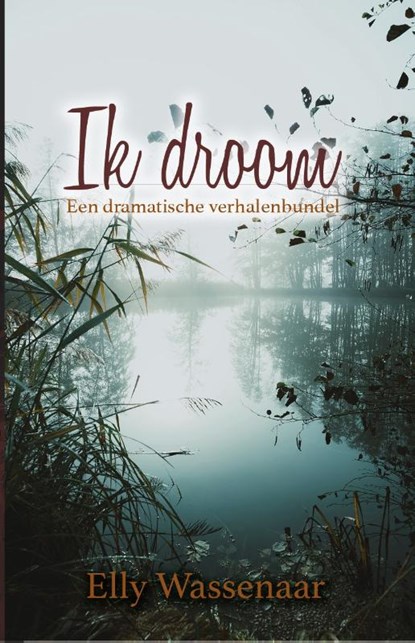 Ik droom, Elly Wassenaar - Paperback - 9789493233508