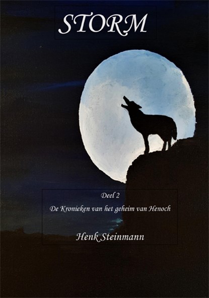 Storm, Henk Steinmann - Paperback - 9789493240025