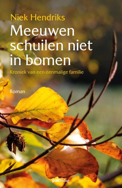 Meeuwen schuilen niet in bomen, Niek Hendriks - Paperback - 9789493245709