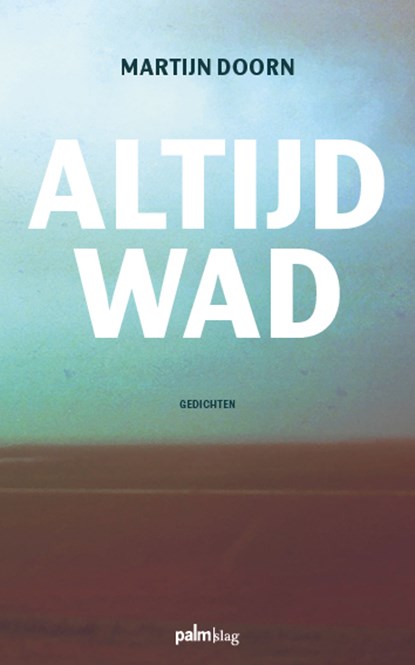 Altijd wad, Martijn Doorn - Paperback - 9789493245914