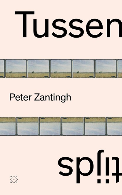 Tussentijds, Peter Zantingh - Ebook - 9789493248595