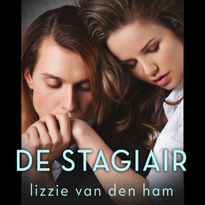 De stagiair, Lizzie van den Ham - Luisterboek MP3 - 9789493265400