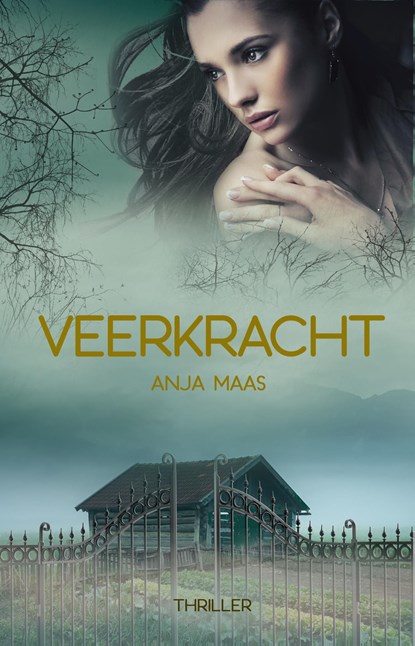 Veerkracht, Anja Maas - Ebook - 9789493266049