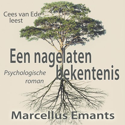 Een nagelaten bekentenis, Marcellus Emants - Luisterboek MP3 - 9789493271227