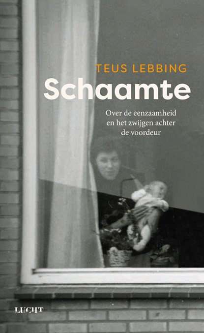 Schaamte, Teus Lebbing - Ebook - 9789493272965