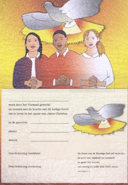 Oorkonde vormsel, niet bekend - Gebonden - 9789493279766