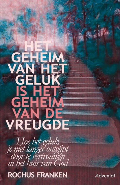 Het geheim van het geluk is het geheim van de vreugde, Rochus Franken - Paperback - 9789493279957