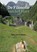 De filosofie van het hart, Guy van Duijnen - Paperback - 9789493288966