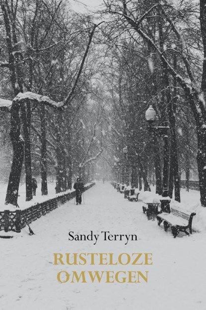 Rusteloze omwegen, Sandy Terryn - Paperback - 9789493293335