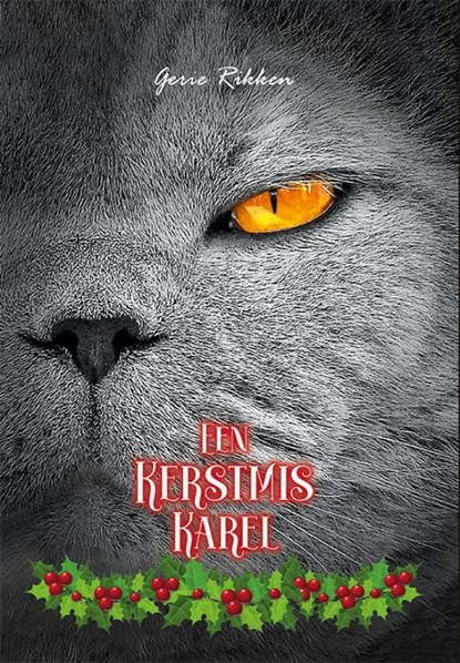 Een Kerstmis Karel, Gerie Rikken - Gebonden - 9789493299436