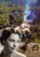 C'est la vie, Chris van Vlijmen - Paperback - 9789493299757