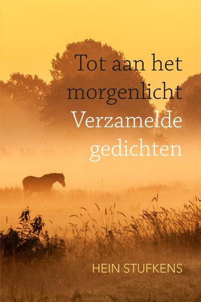 Tot aan het morgenlicht, Hein Stufkens - Paperback - 9789493300057