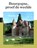 Bourgogne, Marion van Amelrooij - Paperback - 9789493300279