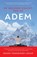 De helende kracht van de adem, Geshe Yongdong Losar - Paperback - 9789493301856